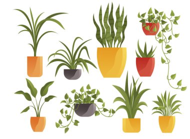 Plant in pot vector illustration flowerpots set. Cartoon flat different indoor potted decorative houseplants for interior home or office decoration, green garden floral collection isolated on white