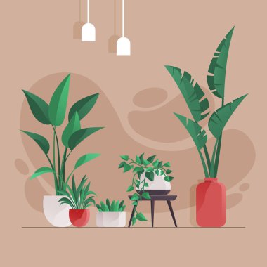 Plant in pot vector illustration flowerpots set. Cartoon flat different indoor potted decorative houseplants for interior home or office decoration, green garden floral collection in living room