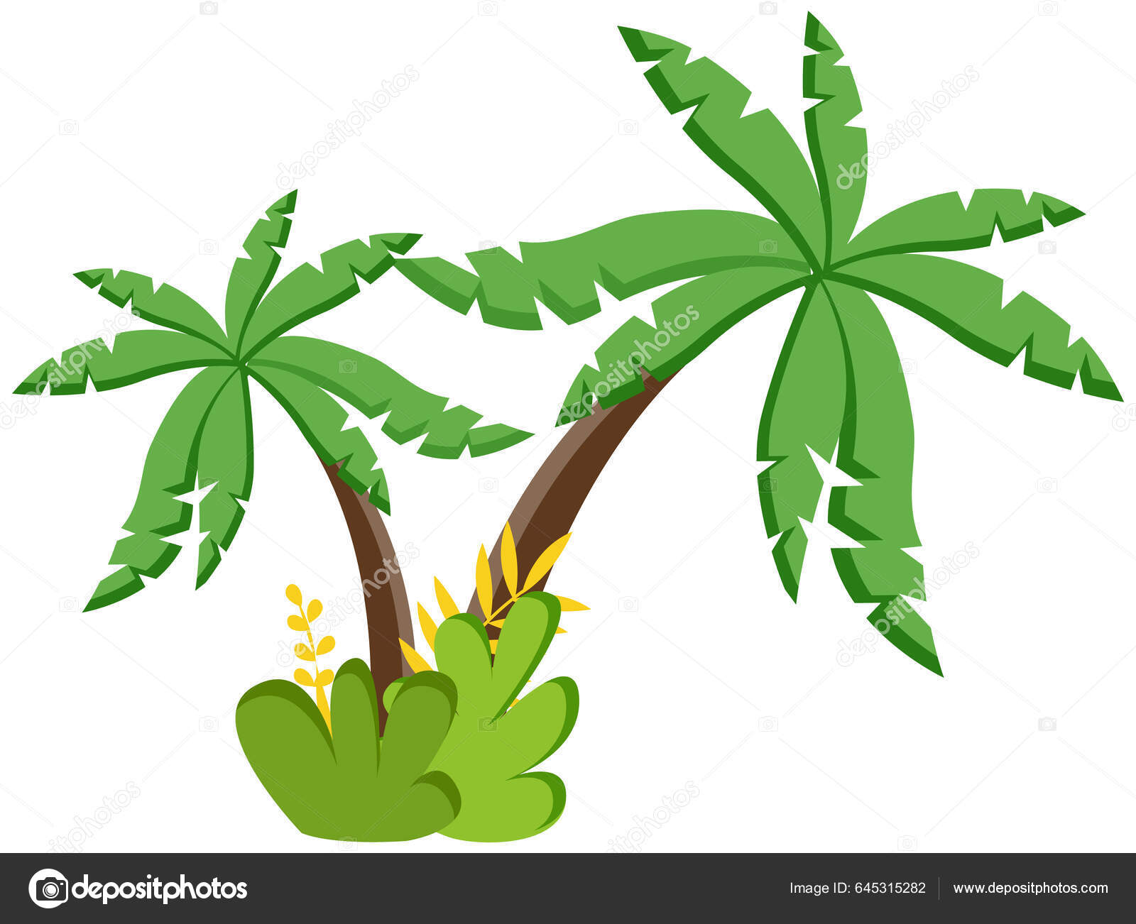 棕榈树矢量图解热带植物椰子树棕榈分离于白色背景温暖国家的热带岛屿上生长着奇异的常绿树象征着温暖放松和度假, image size:1600x1302