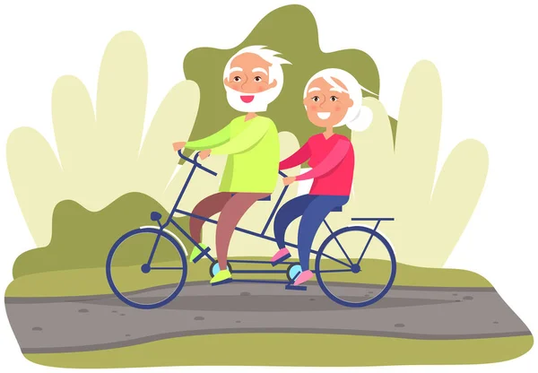 Park Çimenlikte Yolda Ikiz Ikili Bisiklete Binen Yaşlı Bir Çift — Stok Vektör