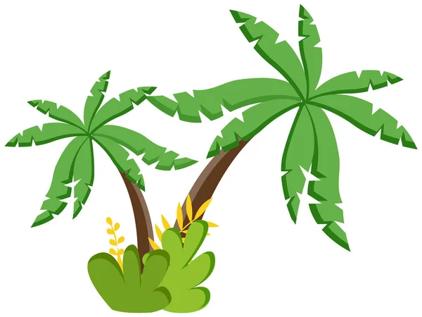 Palmboom Vector Illustratie Tropische Plant Kokosnoot Palm Geïsoleerd Witte Achtergrond — Stockvector