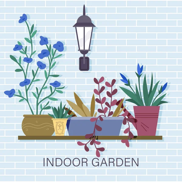 Jardín Interior Decoración Entrada Elementos Diseño Casa Delantera Plantas Maceta — Vector de stock