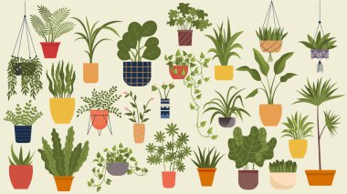 Plant in pot vector illustration flowerpots set. Cartoon flat different indoor potted decorative houseplants for interior home or office decoration, green garden floral collection isolated