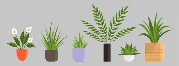 Φυτό Γλάστρες Εικονογράφησης Διάνυσμα Γλάστρες Σετ Κινούμενα Σχέδια Επίπεδη Διαφορετική — Διανυσματικό Αρχείο