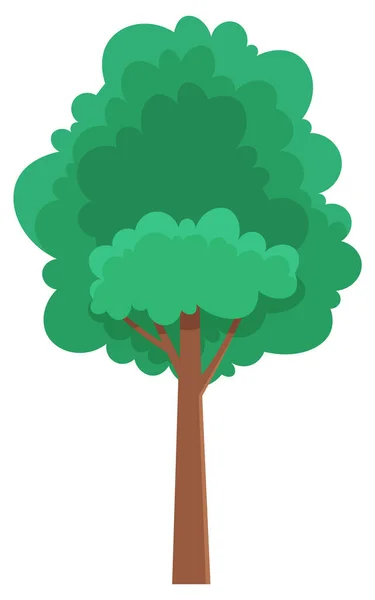 緑豊かな冠 細い茶色の幹と白に隔離された枝を持つ緑の明るい春の高い木 葉の丸い形をした大きな植物のベクトルイラスト 漫画のコンセプトの風景要素 — ストックベクタ