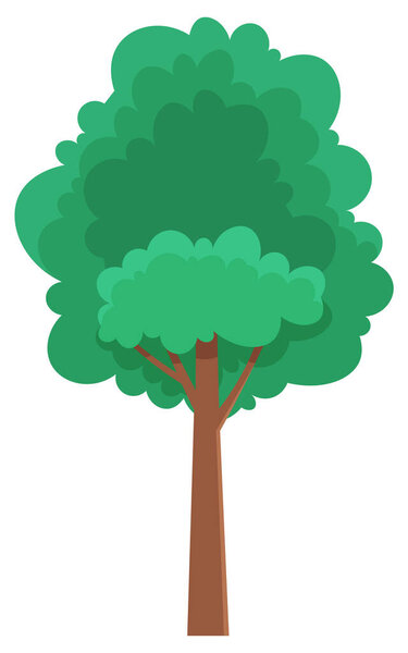 Green bright spring high tree with a lush crown, thin brown trunk and branches isolated on white. Vector illustration of big plant with foliage round shape, landscape element in cartoon concept