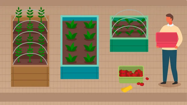침대에 기술을 사용하여 채소를 재배하고 이용한다 사람은 재배하고 수확한다 — 스톡 벡터