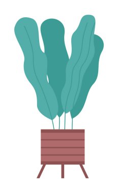 Beyaz arka planda izole edilmiş saksı. Seramik kapta uzun yapraklı dekoratif yeşil bitki saksısı. Yurt içi yeşillik kavramı. Ev içi tesis simgesi