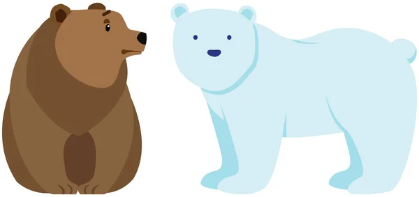 北极熊和棕熊的侧视 野生动物病媒图解 有来自世界各地的白色和深色毛的大型哺乳动物 捕食者被白色背景隔离 一只环境中的两只熊 — 图库矢量图片