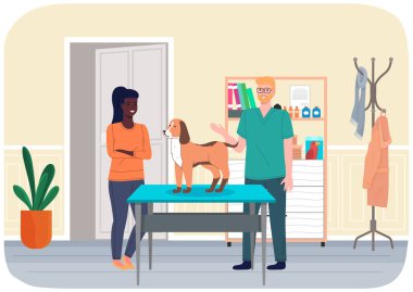 Veterinarian doctor treat ginger dog in hospital office. Man stroking puppy standing on medical table, makes him an examination. Visit to vet clinic to check health of animal. Veterinary care