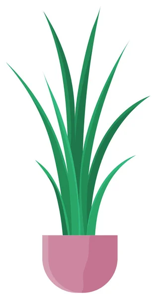 Topf Mit Zimmerpflanze Isoliert Auf Weißem Hintergrund Vektorblumentopf Mit Dekorativen — Stockvektor