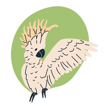 Beyaz tüylü egzotik papağan ve kanatlarını çırpan turuncu iroquois. Güzel papağan beyazı izole etmiş. Parlak tüylü vahşi tropikal kuşu yönlendir. Yaz tatili tasarım hayvanları