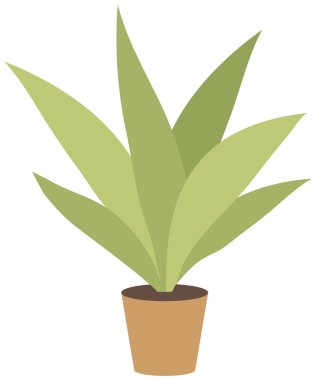 Ot içinde ev ya da ofis bitkisi. Vektör çizimi. İçerisi için saksıda yaprak bitkisi. Saksıdaki ev bitkisi. Beyaz bitkiler izole edilmiş. Moda yeşili ev dekorasyonu. Seramik konteynırda ev bitkisi