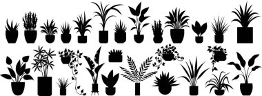 Saksı. Vektör çizimi. Botanik bahçeleri hazine gibi çeşitli bitki türleridir. Botanik çalışmaları büyüleyici dünya bitkilerini ve özelliklerini derinlemesine inceler.