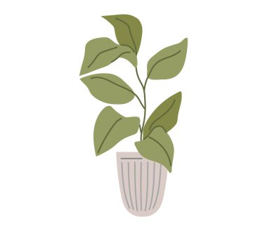 Saksı. Vektör çizimi. Çiçek saksısı metaforu büyüme potansiyelini ve güzellik bahçelerini simgeler. Botanik bahçeleri, bitkilerin çeşitli yönlerini araştıran bitki yaşamına bir bakış sunar.