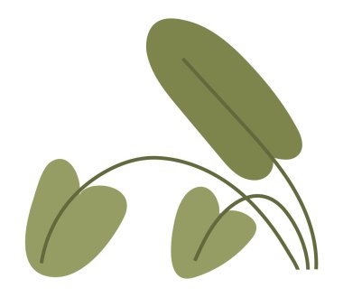 Saksı. Vektör çizimi. Çiçek aranjmanları göz alıcı renkleriyle odayı aydınlatıyor. Ev bitkisi iç mekanlara yeşillik katıyor. Botanik bahçesinde geniş bir koleksiyon sergileniyor.