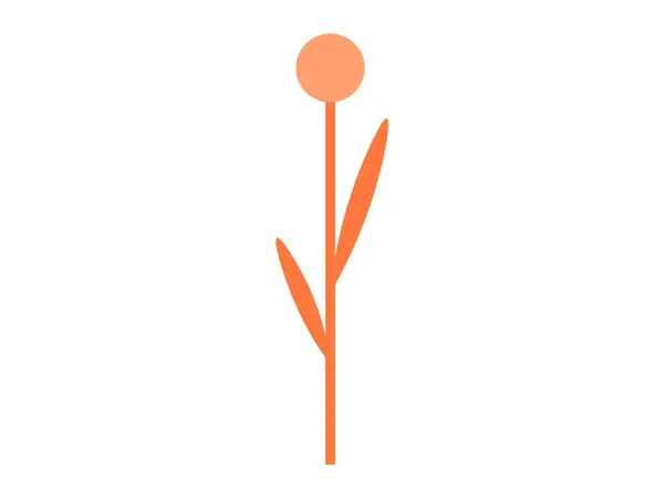 Illustration Vectorielle Fleurs Printanières Croissance Végétale Symbolisait Vie Cycle Renouveau — Image vectorielle