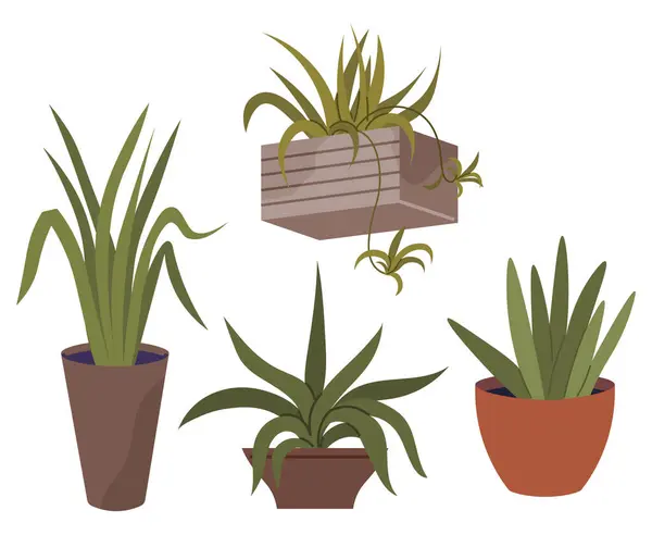 Pot Fleurs Illustration Vectorielle Pot Fleurs Symbolise Les Plantes Nourrissantes — Image vectorielle