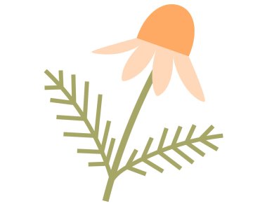 Bahar çiçeği vektör illüstrasyonu. Bahar çiçeklerinin açtığı bu çiçekli atmosfer büyüleyiciydi. Yeşillenmeye başlayan yeşillik çevreye dokunuş enerjisi katıyordu. Bu güzel çiçekler gelişin habercisiydi.