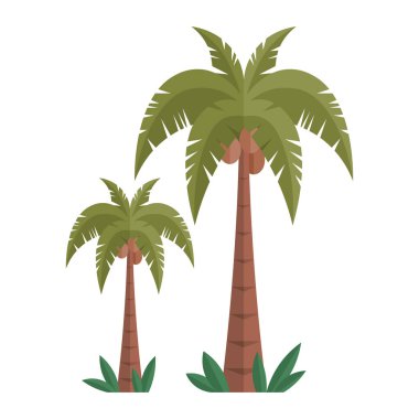 Hindistan cevizli iki palmiye ağacının yeşil yaprakları sallanan bir sahilde durduğunu hayal et. Uzun ve kısa palmiye ağaçları klasik bir tropikal sahne yaratıyor. Tatil temaları için mükemmel..