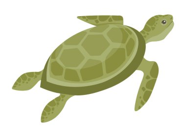 Deniz kaplumbağası okyanusta zarifçe yüzüyor, deniz yaşamının güzelliğini vurguluyor. Kaplumbağa yeşil ve çevresel korumayı sembolize eden mavi okyanus sularıyla çevrili..