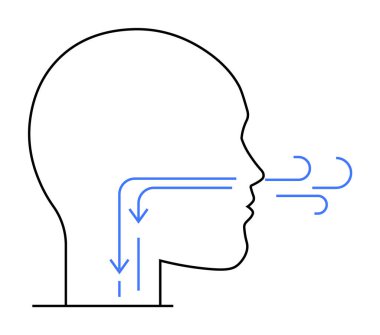 Mavi okları olan bir insan kafasının profili burundan boğazından aşağıya hava akışını gösteriyor. Tıbbi, solunum, anatomi, sağlık eğitimi ve bilim için ideal. Basit satır sanatı tarzı.