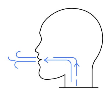 Mavi okları olan bir kafanın yan profili havanın içeri girdiğini ve içeride dolaştığını gösteriyor. Tıp eğitimi, solunum eğitimi, biyoloji dersleri, sağlık sunumları, anatomik değerlendirmeler için ideal