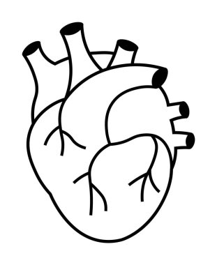 A black and white simple line drawing of a human heart. Ideal for medical, educational, scientific, anatomy, and biology themes. Minimalist and schematic style. clipart