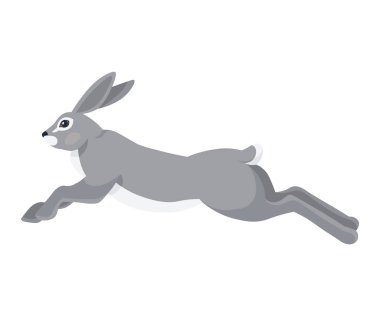 Wild hare in action or rabbit is jumping. Cute fast bunny or gray coney runs away vector illustration for label or poster. Animal is running. Natures graceful and playful defender of the fields clipart