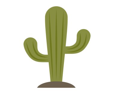 Cactus, desert plant, prickly green bush, thorny tropical wild plant, spiny cartoon decorative herb isolated on white. Mexican succulent, spiny survivor thrives in nature, western botanical symbol clipart