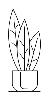 Üç uzun yapraklı saksı bitkisi, temiz çizgili sanat tarzında yaratılmış. Çağdaş ev dekorasyonu, minimalist tasarımlar, botanik temalar, vektör çizimleri ve kapalı alanda bahçe işleri için ideal.