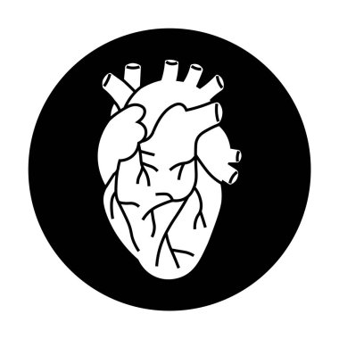 Siyah bir arka planda beyaz anatomik bir kalp. Kalp damarları ve odaları gösteren ayrıntılı çizgiler. Tıbbi, sağlık, anatomi eğitimi, biyoloji eğitimi ve sağlık tasarımları için ideal.