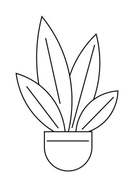 Siyah beyaz çizgili altı ince yapraklı sade saksı bitkisi. Ev dekorasyonu, doğa temaları, botanik eğitimi, minimalist tasarımlar ve çevre dostu projeler için ideal. Temiz, basit
