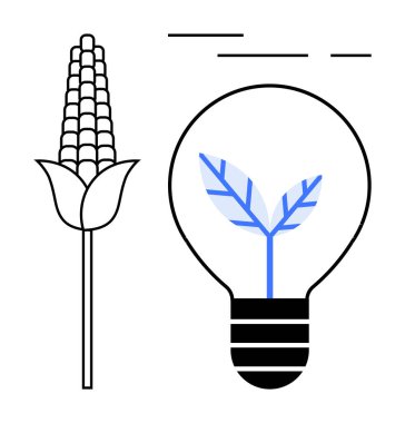 Mısır bitkisi ve içinde yaprak olan bir ampul. Sürdürülebilirlik, tarım, yenilenebilir enerji, çevre dostu teknoloji, çevresel yenilik için idealdir. Basit çizgi sanat biçimi