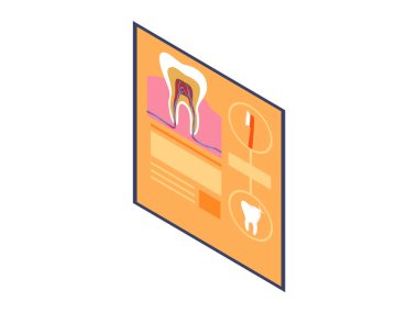 Diş kesiti ve diş fırçasının farklı dairelerde, turuncu arkaplanda metin blokları olan eğitici diş anatomisi posteri. Diş eğitimi ve oral sağlık için ideal