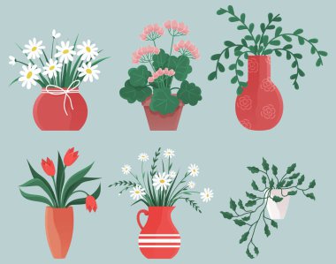 Farklı vazolarda farklı çiçek ve yapraklarla altı bitki. Ev dekorasyonu, bahçıvanlık, çiçek tasarımı, iç tasarım ve bahçıvanlık için ideal. Düz vektör sanat biçimi