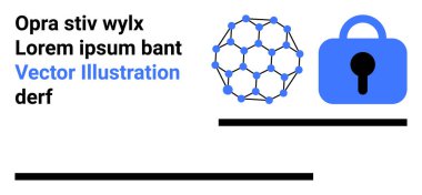 Mavi kilit grafiği, ağ örgüsü ve yer tutucu metnin yanında. Teknoloji, veri güvenliği, ağ çözümleri, şifreleme ve siber güvenlik temaları için ideal. İniş sayfası için pankart
