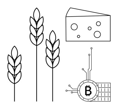 Üç buğday sapı, delikli bir parça peynir ve elektronik devre bağlantıları olan bir Bitcoin sembolü. Tarım, süt endüstrisi, kripto para birimi, dijital ekonomi ve teknoloji için ideal
