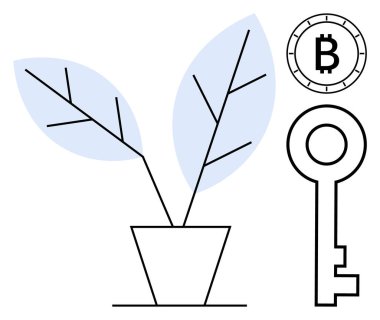 Bitcoin sembolü ve anahtarının yanına mavi yapraklı bir bitki. Kripto para birimi, fintech, yatırım, dijital güvenlik, engelleme zinciri, çevre dostluğu, büyüme için ideal. Satır metaforu