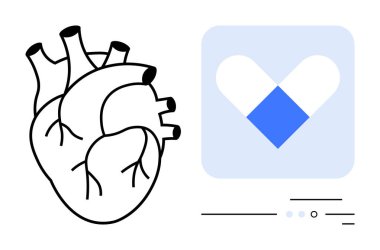 Mavi ve beyaz geometrik kalp ikonunun yanında insan kalbi anatomik çizimi. Sağlık, kardiyoloji, tıbbi teknoloji, sağlık, dijital sağlık, uygulama geliştirme, biyoteknoloji temaları için ideal. Çizgi