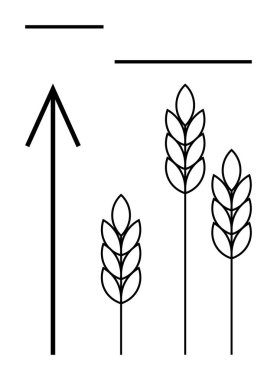 Bold upward arrow next to three detailed grain plants and horizontal lines. Ideal for growth, agriculture, success, progress, leadership, food production, sustainability themes. Line metaphor clipart