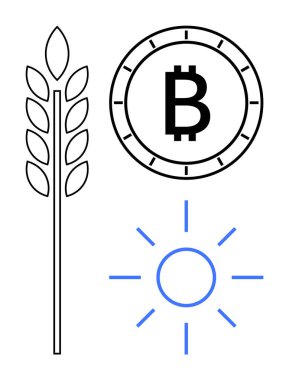 Buğday sapı, Bitcoin madeni para ve güneş sembolü tarımı, kripto para birimini ve yenilenebilir enerjiyi gösteriyor. Sürdürülebilirlik, finans, teknoloji, çevre çabaları ve tarım enerjisi için ideal