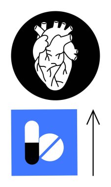 Siyah çemberin içindeki anatomik kalp, mavi karede iki tip hap, yukarı bakan ok. Tıbbi, sağlık, anatomi, kardiyoloji, ilaç geliştirme konuları için idealdir. Çizgi