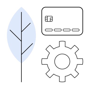 Yaprak, kredi kartı ve teçhizat. Sürdürülebilirlik, finans, teknoloji, çevre bilinci, çevrimiçi işlem yeniliği ve yenilenebilir enerji için ideal. Satır metaforu