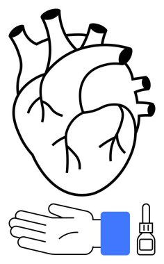 Eldivenli bir el ve tıbbi damlacının üstündeki anatomik kalp çizgisi. Sağlık, tıp eğitimi, anatomi, kardiyoloji, tıbbi bakım, ameliyat ve sağlık hizmetleri için ideal. Satır metaforu