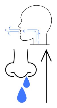 İnsan kafasının ana hatları ağıza hava akışını gösteriyor, burnuna damlalar ve yönü gösteren oklar. Tıp eğitimi, solunum sağlığı, anatomi dersleri, sağlık hizmetleri, enfeksiyon için ideal