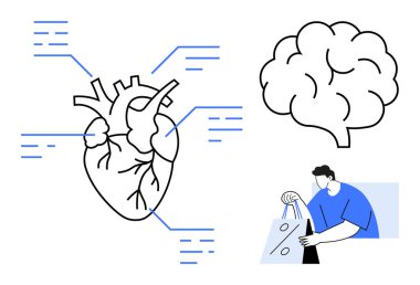 Etiketli noktaları olan anatomik kalp diyagramı, beyin çizelgesi, alışveriş torbaları tutan kişi. Sağlık, anatomi, eğitim, nörobilim, alışveriş alışkanlıkları, tıbbi sunumlar için idealdir. Çizgi