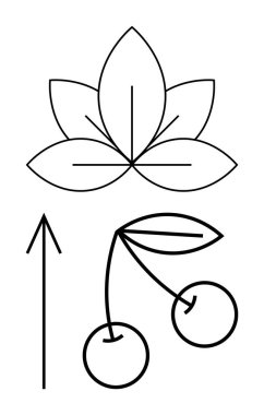 Nilüfer çiçeği, kiraz ve yukarı doğru ok büyümeyi, doğayı, basitliği ve gelişimi temsil eder. Sağlık için ideal, doğa temalı tasarımlar, botanik sanatı ürünü ambalajlama motivasyon posterleri