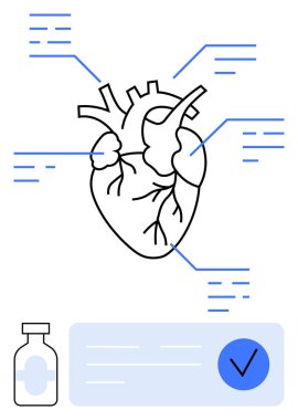 Veri notları, aşı şişesi ve doğrulama işaretli insan kalbinin diyagramı. Tıbbi araştırma, sağlık, kardiyoloji, aşı farkındalığı, bilim eğitimi, tıbbi uygulama için ideal