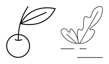 Tek yapraklı minimalist kiraz ve basit toprak çizgilerinin üzerinde bir marul çizgisi. Sağlık, doğa, organik, basitlik, minimalizm, gıda ve bahçe temaları için idealdir. Siyah ve beyaz soyut